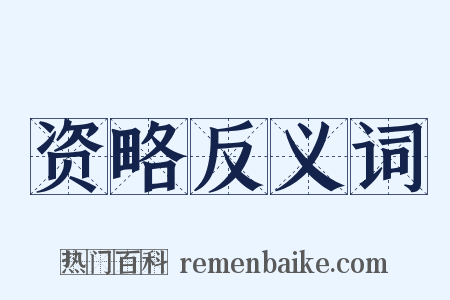 资略反义词是什么意思的图片